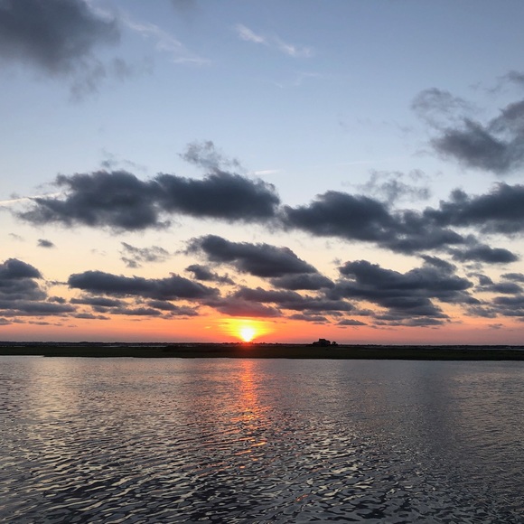 Meet your Posher, Phoebe - Picture 1 of 1